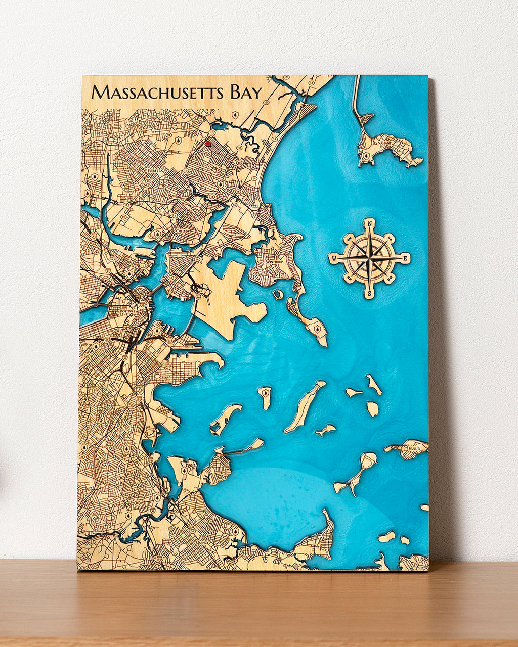 Any Coastal Location, Lake, or River Custom Epoxy Resin Wood Map with Pins