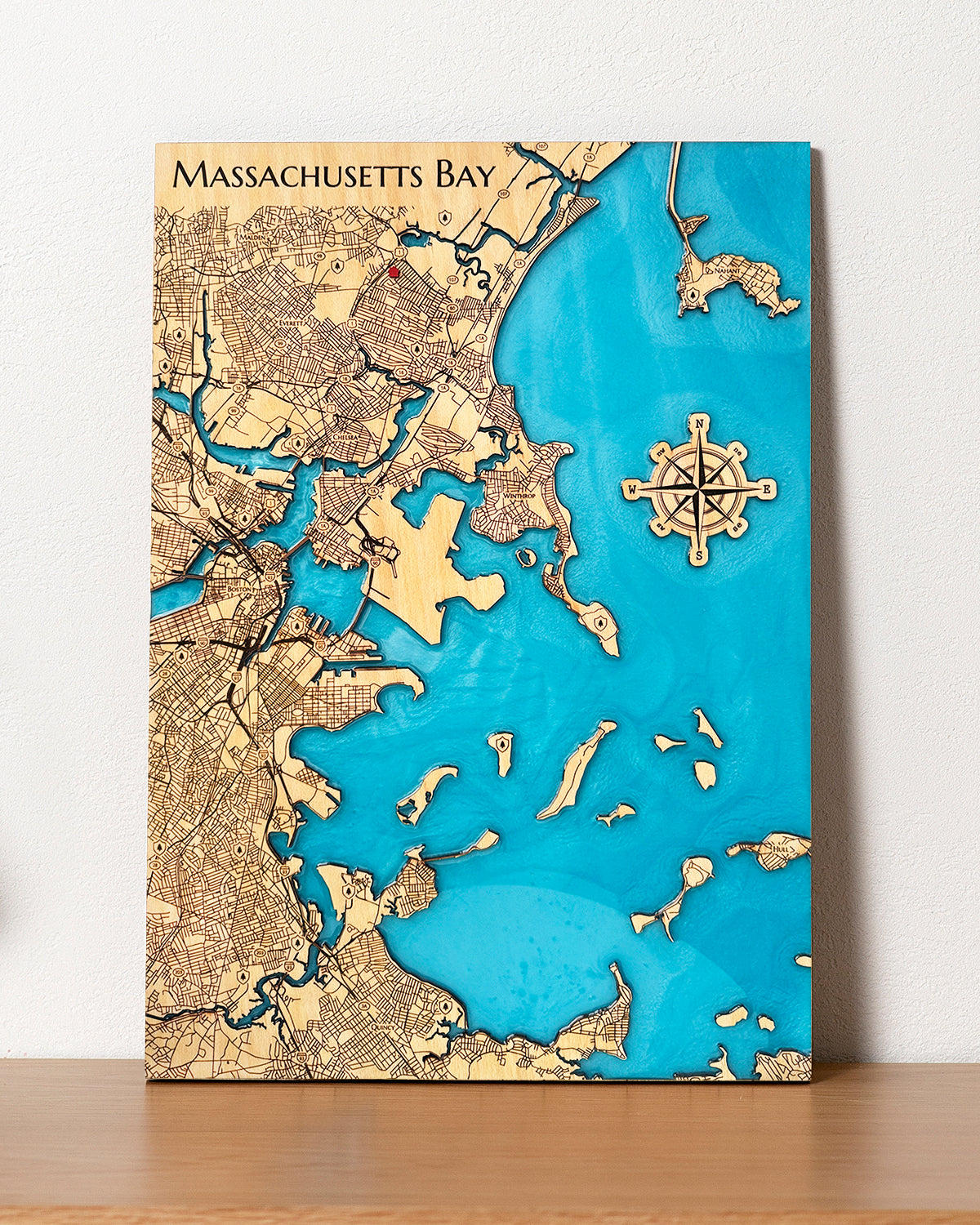 Any Coastal Location, Lake, or River Custom Epoxy Resin Wood Map with Pins